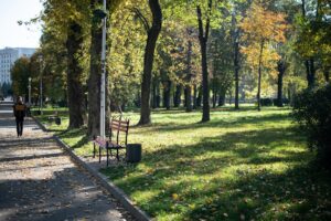 Élményparkok felnőtteknek – nem csak gyerekeknek