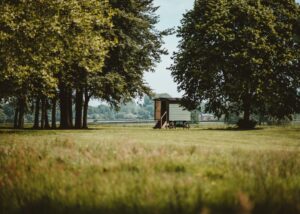 Luxusmentes luxus: glamping a természetben