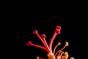 Immunerősítés nyáron: nem csak vitaminokkal
