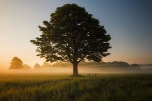 A csend ereje – mindfulness zajos világban