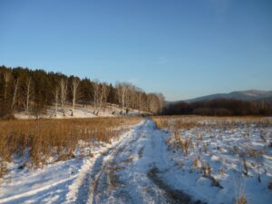 Nordic walking – séta sportosabban
