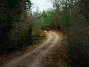 Nordic walking – séta sportosabban