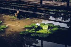 Önreflexiós kérdések nap végére