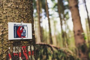 Spirituális utazások: jóga retreat Indiában?