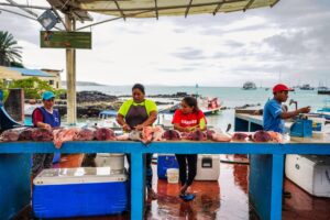 Gasztronómiai kalandok Európa utcáin – A legjobb street food túrák