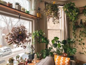 Balkon kertek: hogyan kezdj bele minimál költséggel?