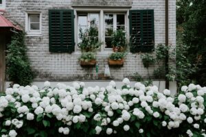 Balkon kertek: hogyan kezdj bele minimál költséggel?