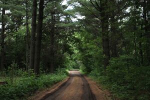 Off-road kezdőknek – mi kell a kalandhoz?