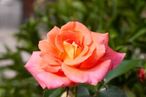 Ajándékok a férfiaknak, akiknek már mindenük megvan