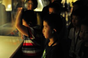 Tanulás játékosan – a múzeumpedagógia varázsa