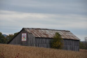 Rejtett kincsek: vidéki múzeumok kuriózumai